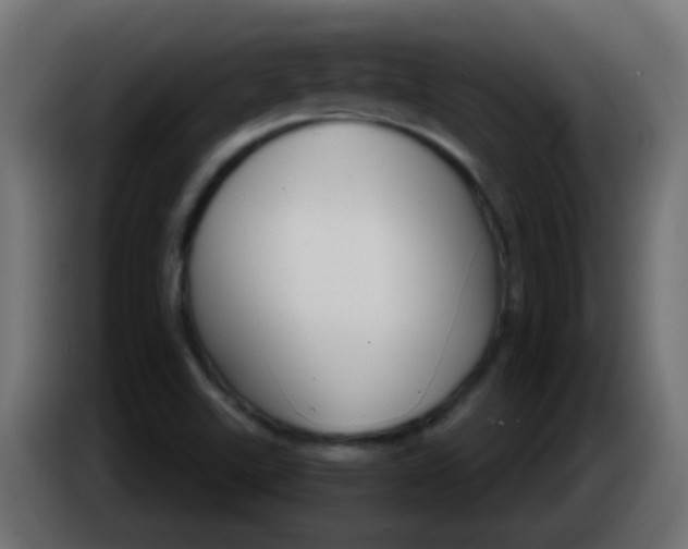 X0000086071507200704132029