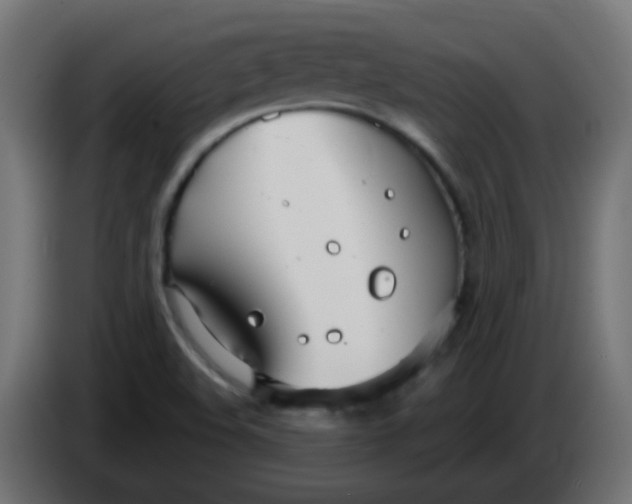 X0000086071508200704132029