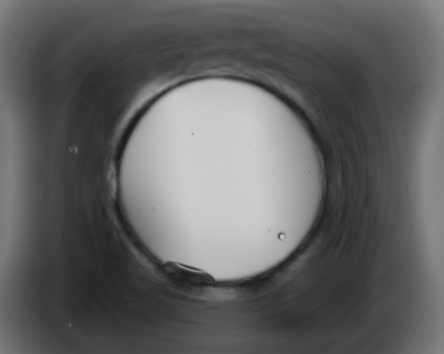 X0000086071509200704132029