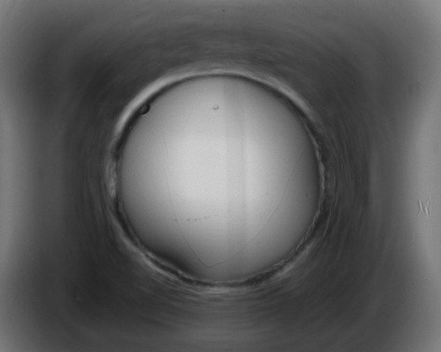 X0000086071510200704132029