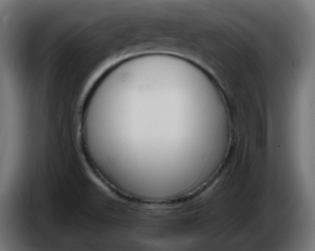 X0000086071511200704132029