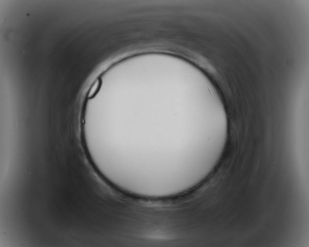 X0000086071512200704132029