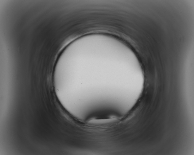 X0000086071513200704132029