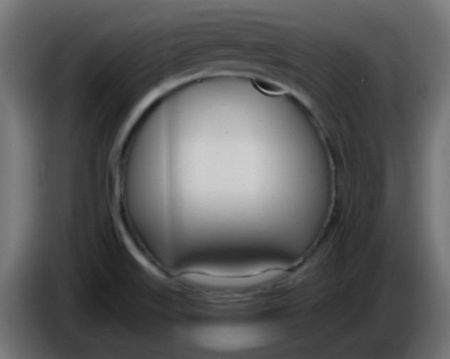 X0000086071515200704132029