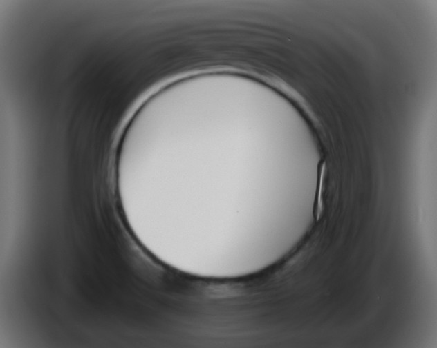 X0000086071516200704132029
