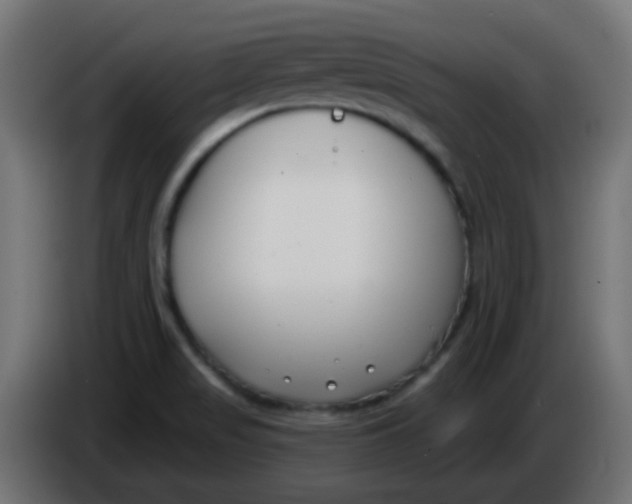 X0000086071517200704132029