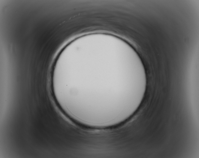 X0000086071518200704132029