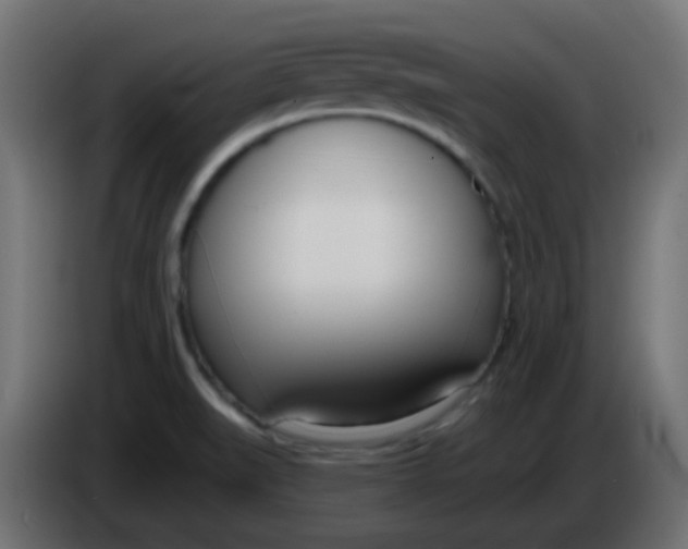 X0000086071519200704132029