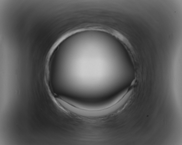 X0000086071520200704132029