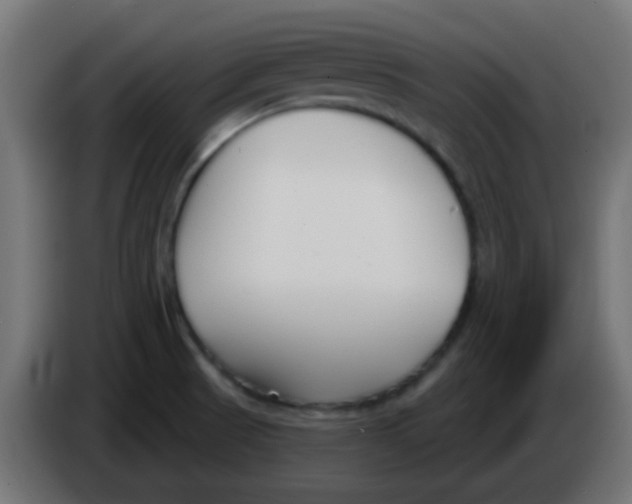 X0000086071521200704132029