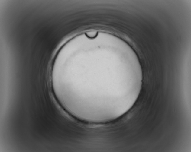 X0000086071522200704132029