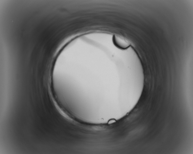 X0000086071523200704132029