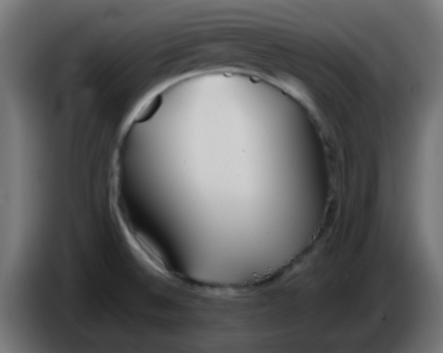 X0000086071524200704132029