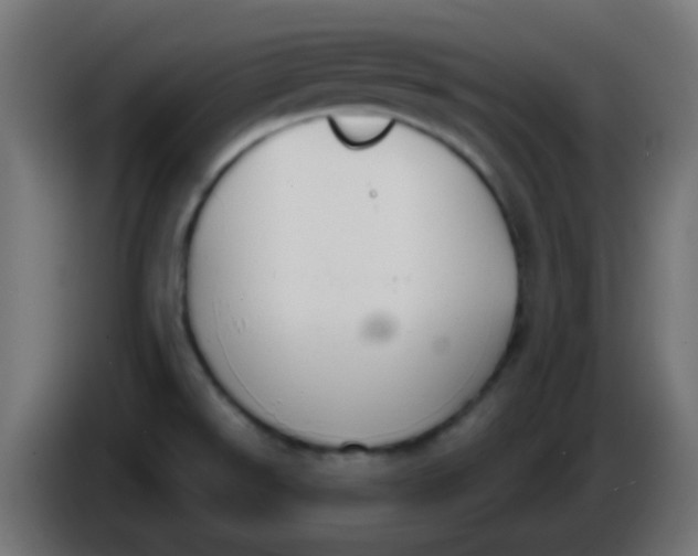 X0000086071526200704132029