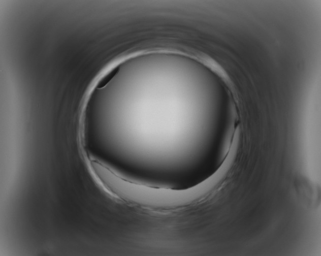 X0000086071528200704132029