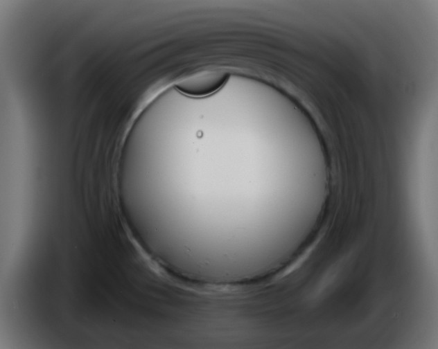 X0000086071529200704132029
