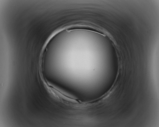 X0000086071530200704132029