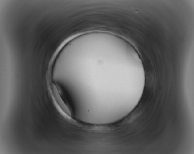 X0000086071531200704132029