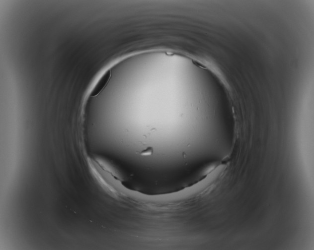 X0000086071532200704132029