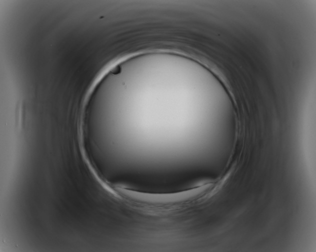 X0000086071533200704132029