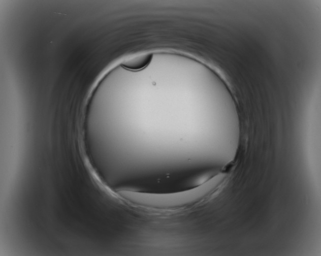 X0000086071534200704132029