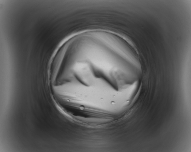 X0000086071535200704132029
