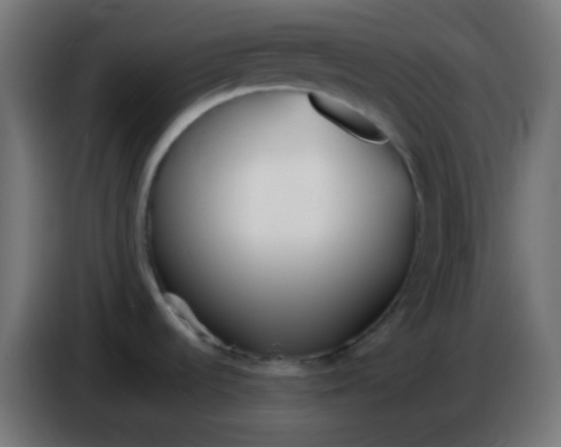 X0000086071536200704132029