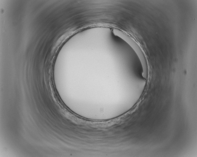 X0000086070001200704202138