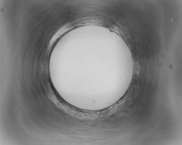 X0000086070004200704202138