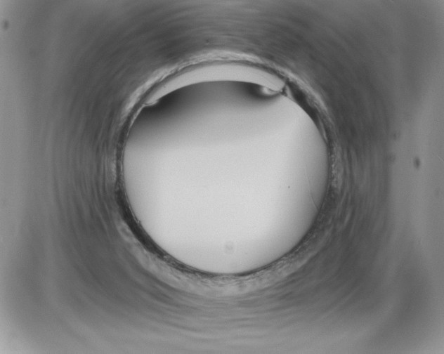 X0000086070015200704202137