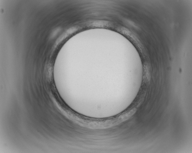 X0000086070016200704202137