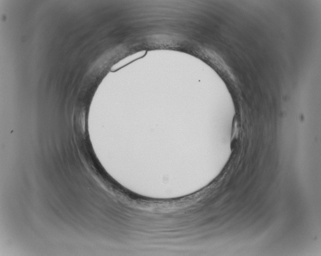 X0000086070021200704202137