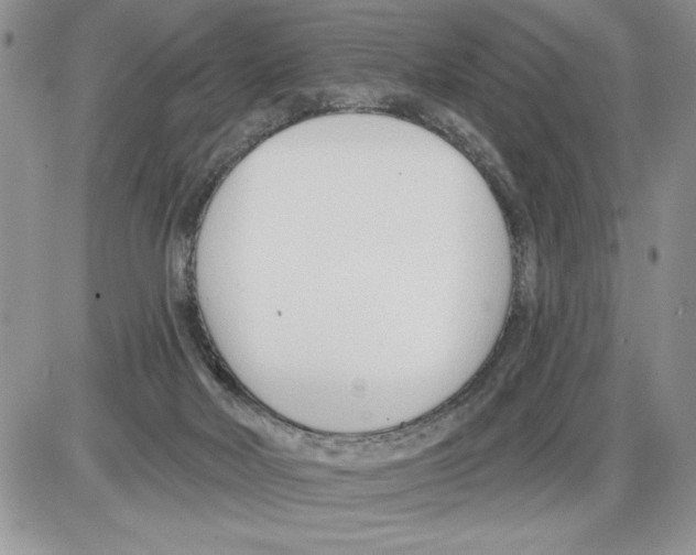 X0000086070026200704202137