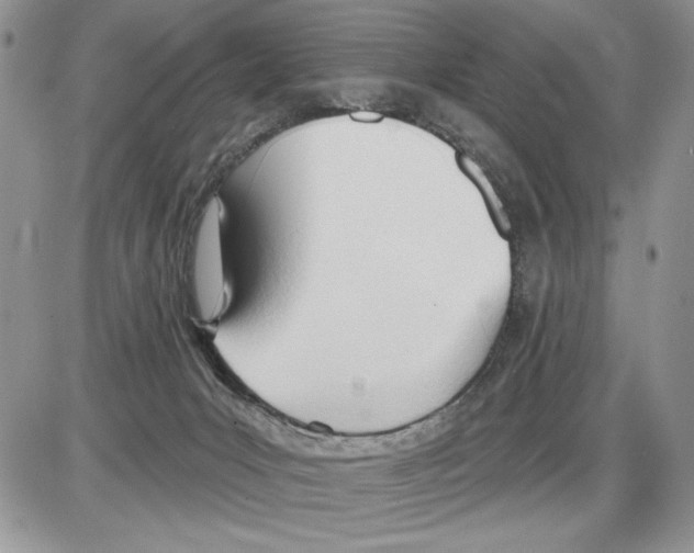 X0000086070031200704202137