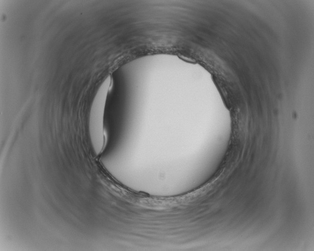 X0000086070033200704202137