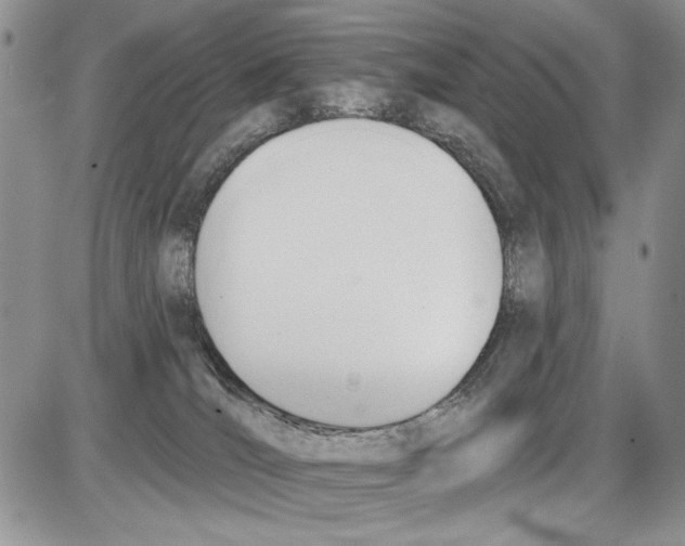 X0000086070036200704202137