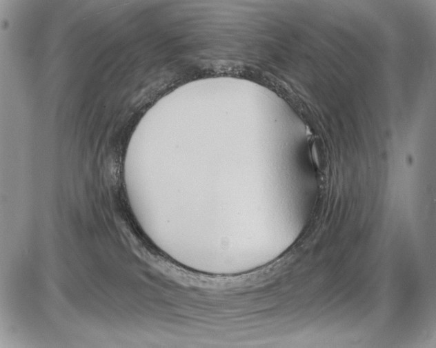 X0000086070039200704202137