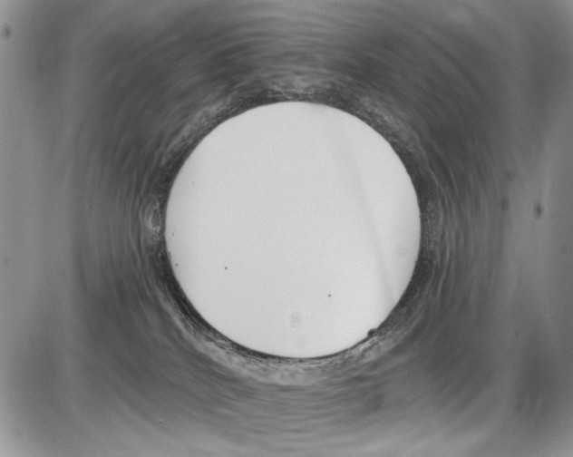 X0000086070040200704202137