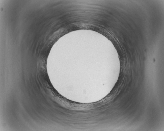 X0000086070044200704202137