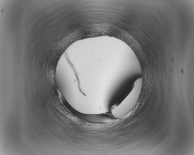 X0000086070045200704202137