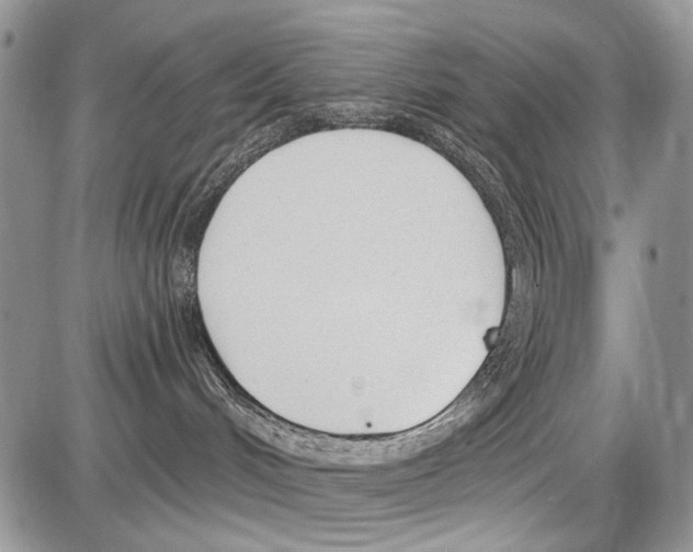 X0000086070048200704202137