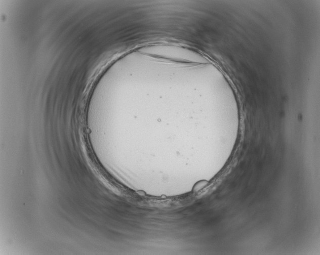 X0000086070049200704202136