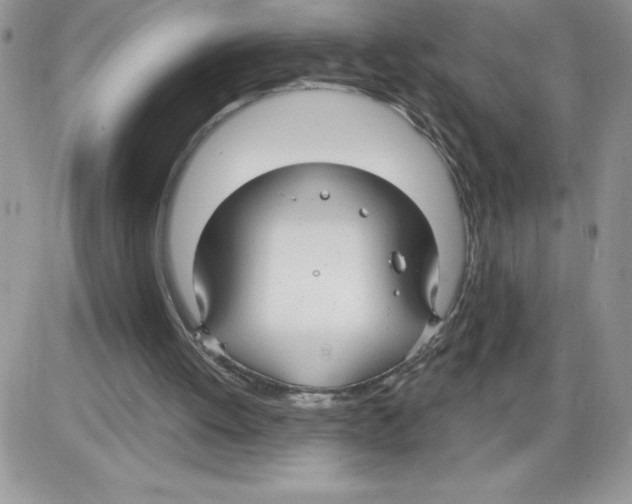 X0000086070052200704202136