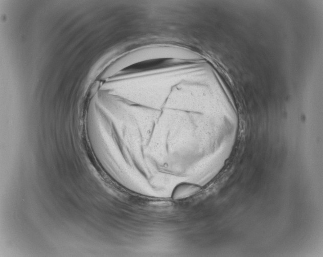 X0000086070053200704202136