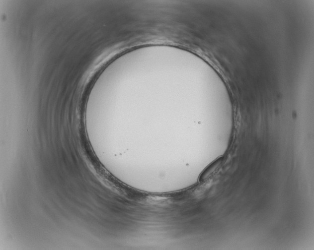 X0000086070055200704202136