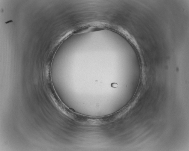 X0000086070057200704202136