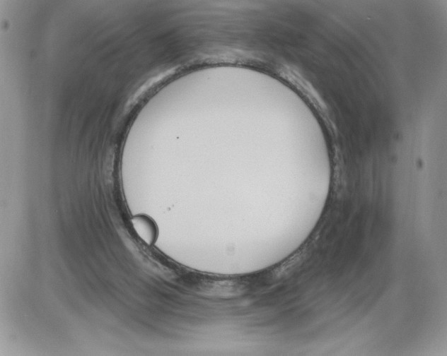 X0000086070058200704202136