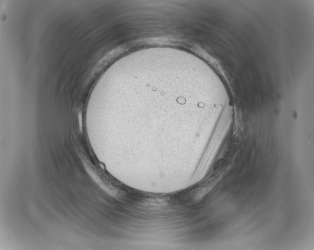 X0000086070061200704202136