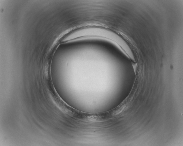 X0000086070064200704202136