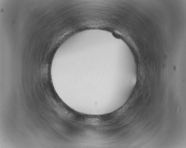 X0000086070066200704202136